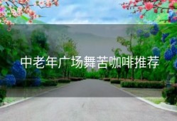 中老年广场舞苦咖啡推荐