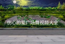 伤心的爱广场舞视频大全