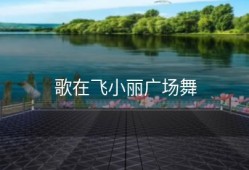 歌在飞小丽广场舞