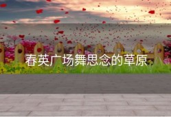 春英广场舞思念的草原