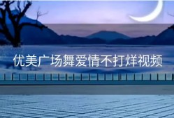 优美广场舞爱情不打烊视频