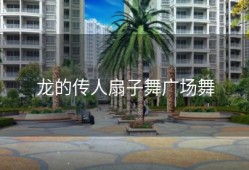 龙的传人扇子舞广场舞