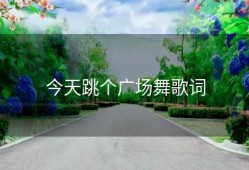 今天跳个广场舞歌词
