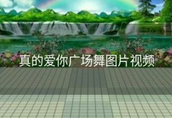 真的爱你广场舞图片视频