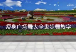 瘦身广场舞大全鬼步舞教学