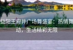 益阳王府井广场舞盛宴：热情舞动，生活精彩无限