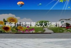 燕子广场舞蒙古大草原背面