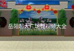 岳阳超大广场舞视频大全