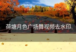 荷塘月色广场舞视频去水印