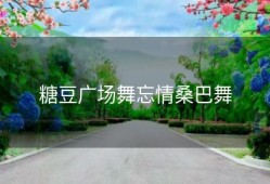 糖豆广场舞忘情桑巴舞