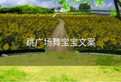 跳广场舞宝宝文案