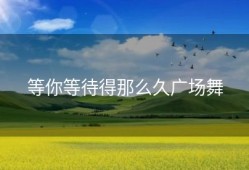 等你等待得那么久广场舞