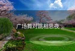 广场舞对跳相思夜