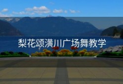 梨花颂潢川广场舞教学