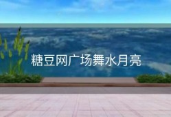 糖豆网广场舞水月亮