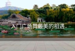 入门广场舞最美的相遇