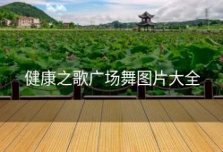健康之歌广场舞图片大全
