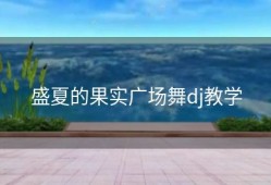 盛夏的果实广场舞dj教学