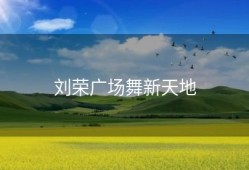 刘荣广场舞新天地