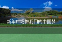 新年广场舞我们的中国梦