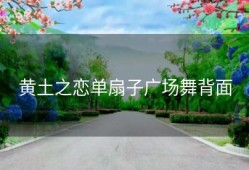 黄土之恋单扇子广场舞背面