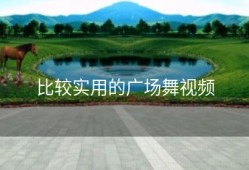 比较实用的广场舞视频