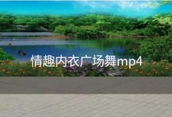 情趣内衣广场舞mp4