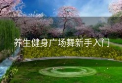 养生健身广场舞新手入门