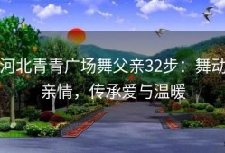 河北青青广场舞父亲32步：舞动亲情，传承爱与温暖