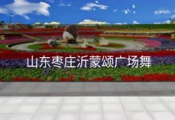 山东枣庄沂蒙颂广场舞