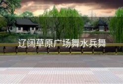 辽阔草原广场舞水兵舞