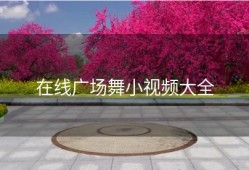 在线广场舞小视频大全