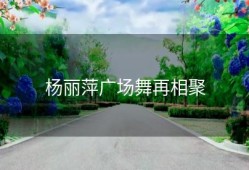 杨丽萍广场舞再相聚