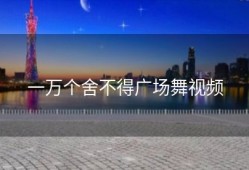 一万个舍不得广场舞视频