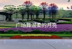 广场舞温柔的月亮