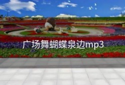 广场舞蝴蝶泉边mp3