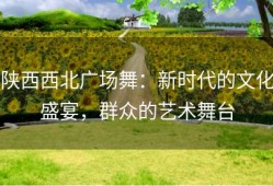 陕西西北广场舞：新时代的文化盛宴，群众的艺术舞台