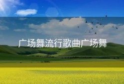 广场舞流行歌曲广场舞