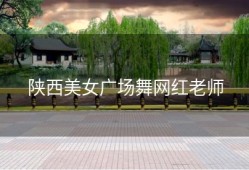 陕西美女广场舞网红老师