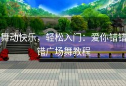 舞动快乐，轻松入门：爱你错错错广场舞教程