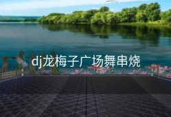 dj龙梅子广场舞串烧