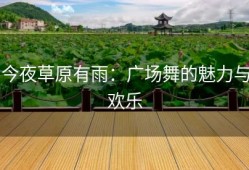 今夜草原有雨：广场舞的魅力与欢乐