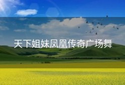 天下姐妹凤凰传奇广场舞