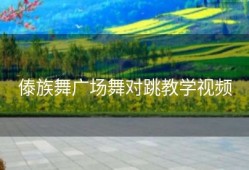 傣族舞广场舞对跳教学视频