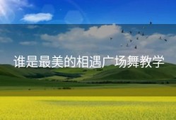 谁是最美的相遇广场舞教学