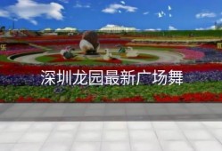 深圳龙园最新广场舞