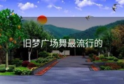 旧梦广场舞最流行的