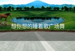 想你想的睡着歌广场舞