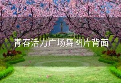 青春活力广场舞图片背面