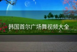 韩国首尔广场舞视频大全